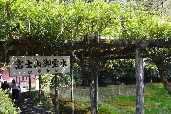 帰路の途中下車 帰路の途中下車