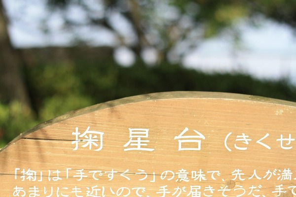 「山からの贈り物たち」