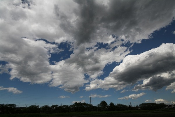 「雲たち」