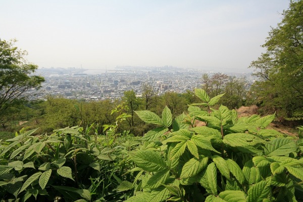 「山からの贈り物たち」