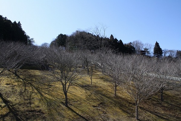 やすらぎの里公園AC インプレ