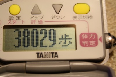 「幻影を超えて」