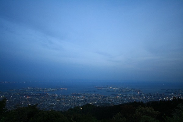 「山からの贈り物たち」