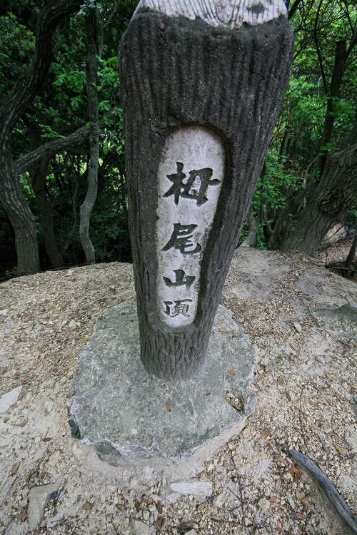 「六甲全山縦走への道」