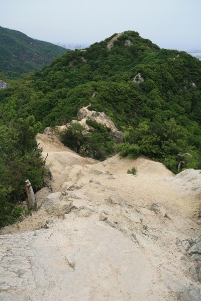 「六甲全山縦走への道」