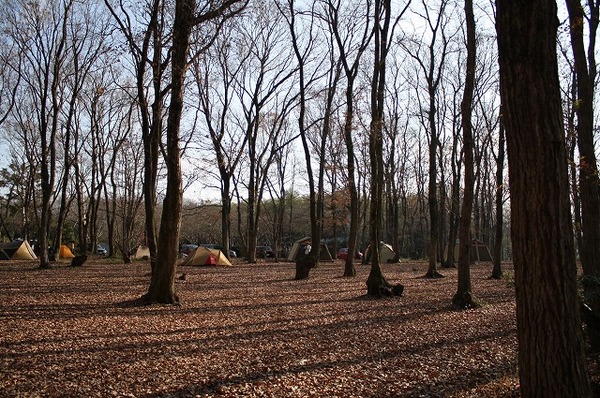 「campmansのセカイ・・・前篇」