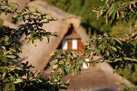 立山黒部アルペンルート☆Photogallery