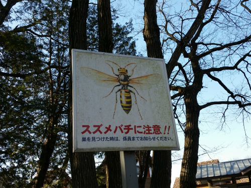 初めてのポンチョ幕でソロキャン　in　八千代グリーンビレッジ～！！ 　その１