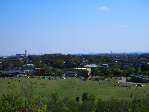 緑の丘公園で、CIRCUS TC の試し張り～！