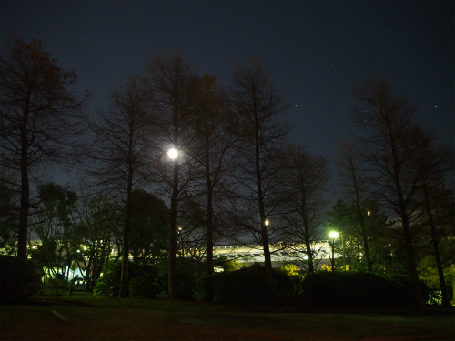 若洲海浜公園キャンプ場で、今年最後のソロキャン～！　その３