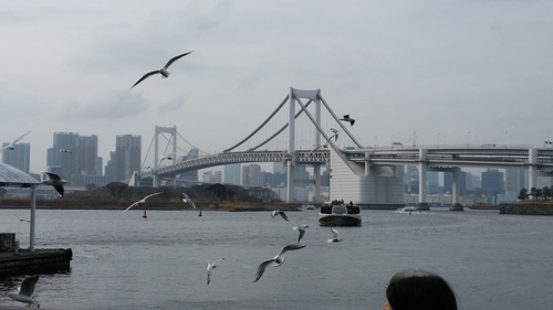 横浜とお台場へドライブ〜！