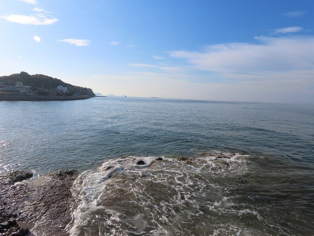 豊浜港にアジ釣りに行ってきました！