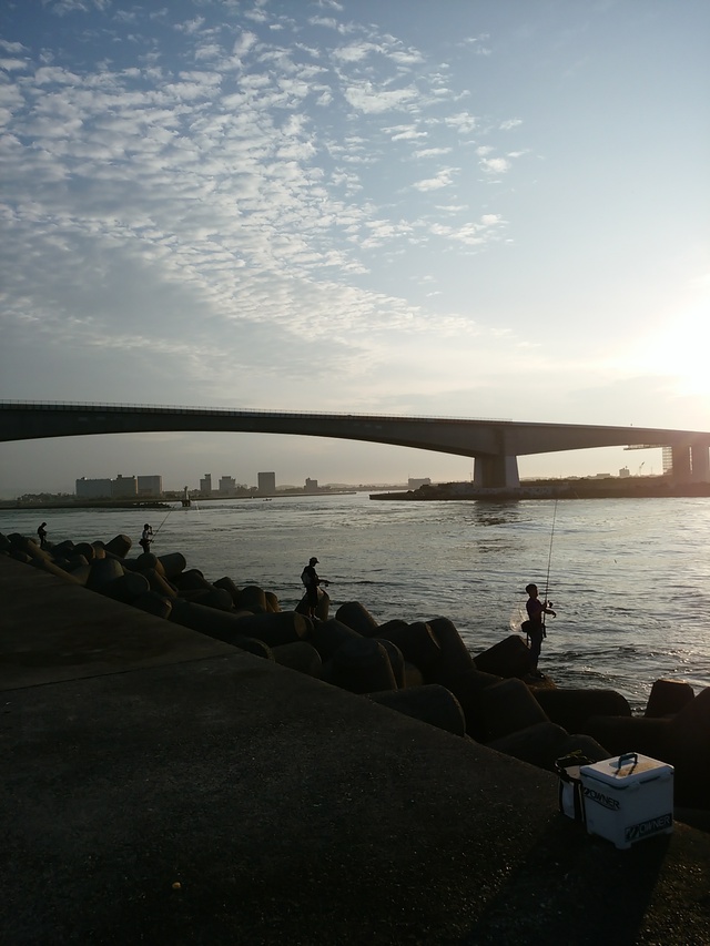 浜名湖シーバスからのショアジギングに行って来ました！