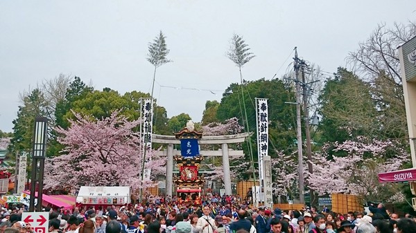 尺を求めて 16春 犬山祭り