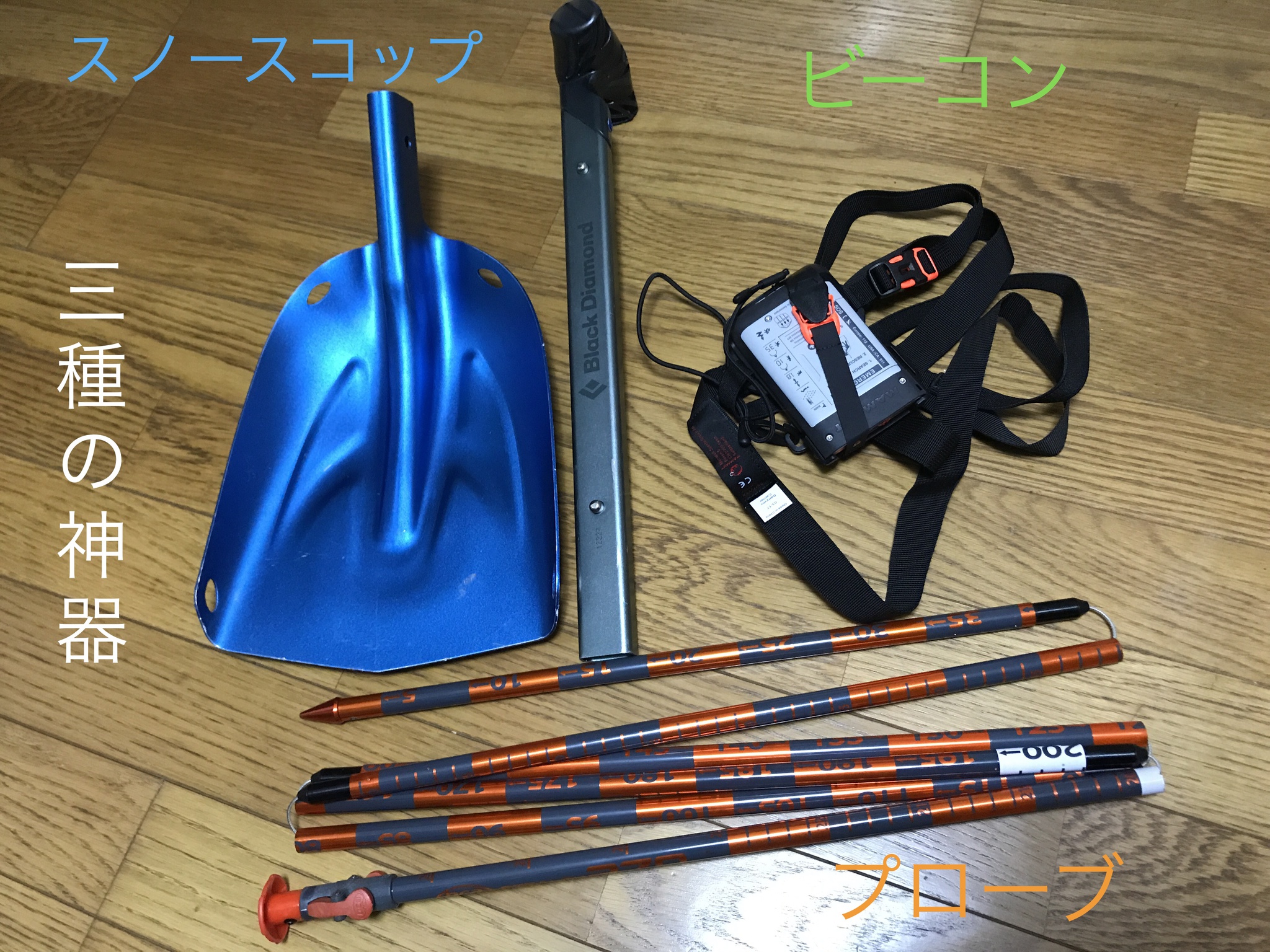 生きている証し:MAMMUT Barryvox 2017 新型
