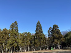 阿加井秀樹の気ままなキャンプ「TOMOSHIBI CAMP」