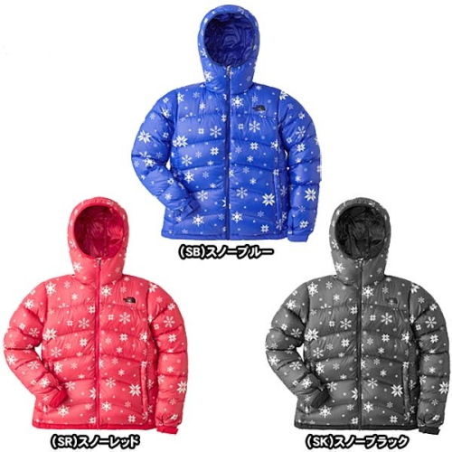 趣味のお買い物記録:TNF Novelty Aconcagua Hoodie(NDW91234)