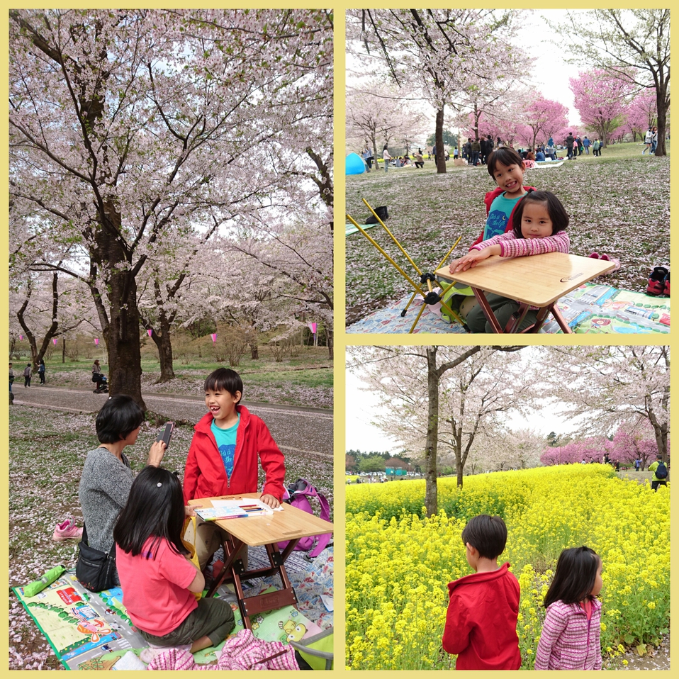 桜まつりと、くりの木キャンプ場