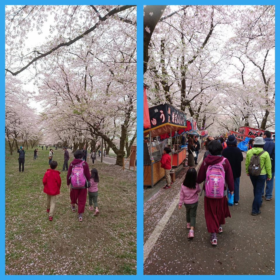 桜まつりと、くりの木キャンプ場