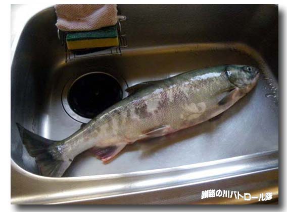 恐怖カニの襲撃