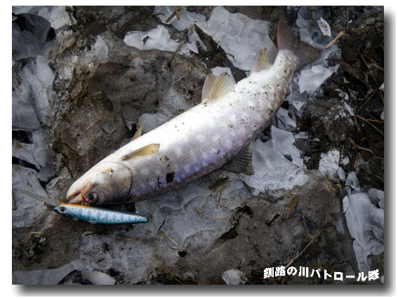 冬の定位置へ