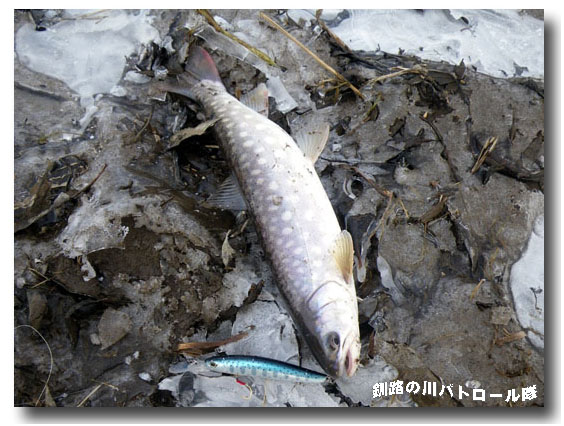 冬の定位置へ