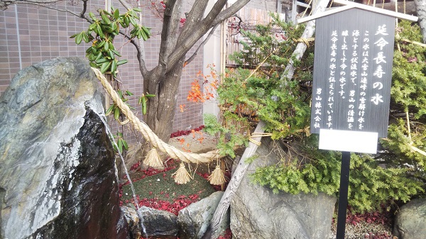 本日の酒肴が揃う道