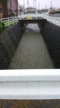 雨が凄かった！