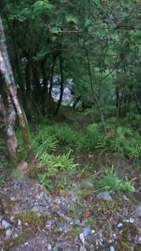 一人の山でした！ 2016/06/20 14:01:45