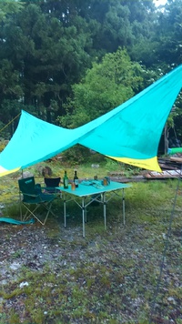 お初の多かった山！ 2016/05/30 14:07:21