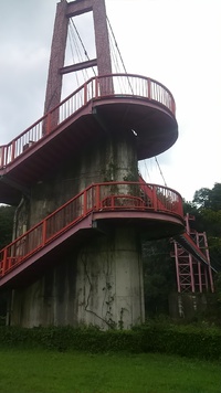 ようやく雨が降りまして！ 2015/08/17 14:23:15