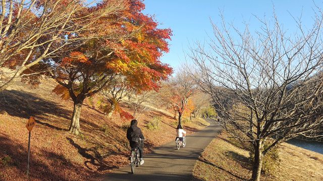 初冬キャンプ　in志高湖