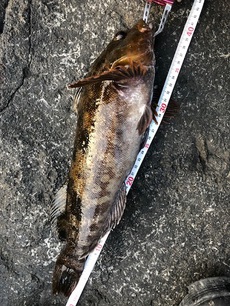 お汁のチカラ。 2018/04/03 11:56:36