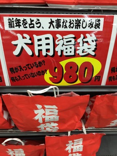 珍しく早い初釣り。 2018/01/05 22:04:42
