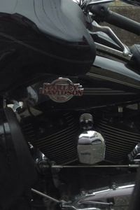 エギングロットを手に入れるの巻1