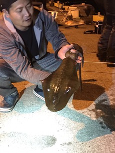 遅れていた釣果動画UP出来ました