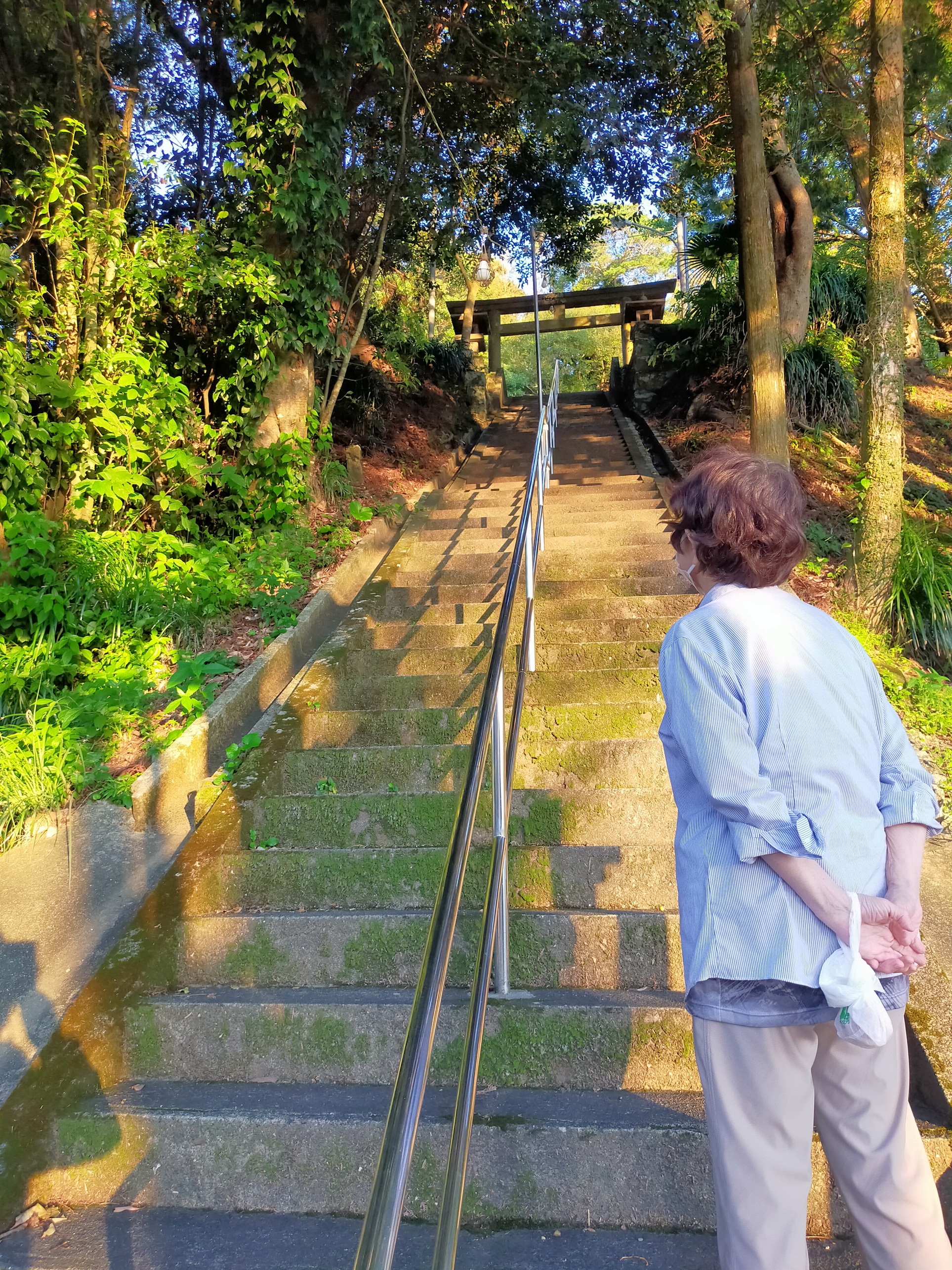 朝いち青島へ、、の巻