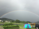 あおまめ