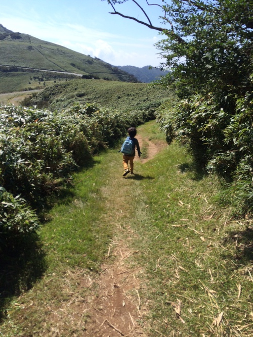 達磨山にて親子で初登山