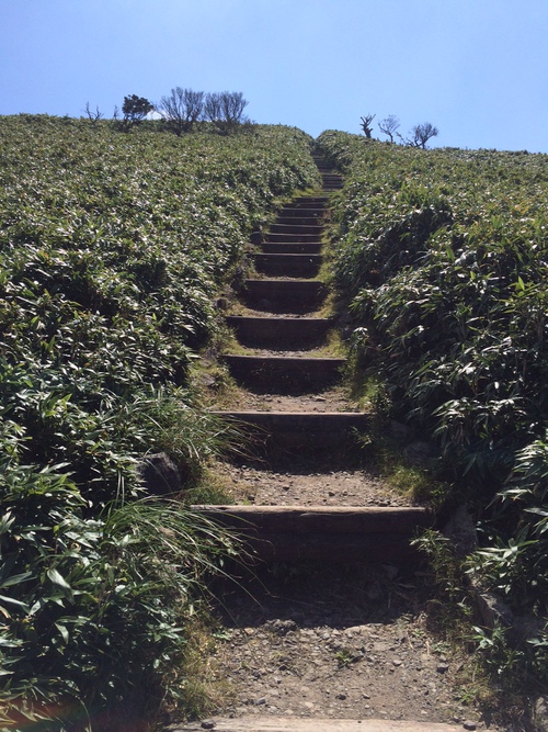 達磨山にて親子で初登山