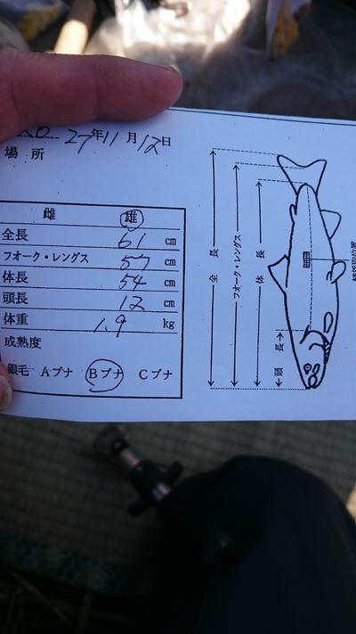 これが、オスかー！