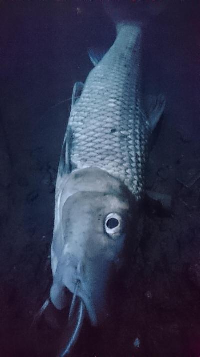 初物づくし！？