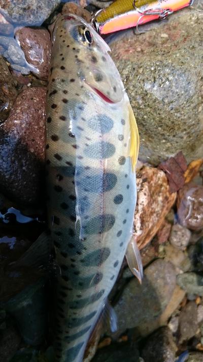 最後にズドン！？