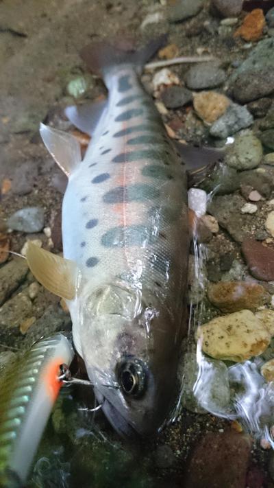 最後にズドン！？