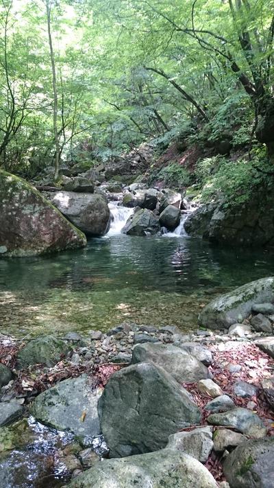 朝は、弱いです・・・