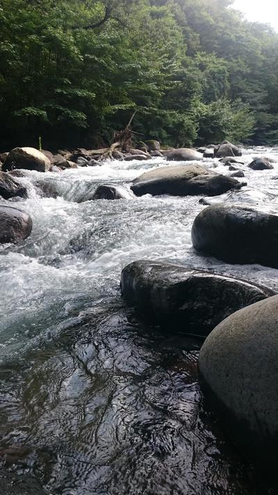 増水は、チャンス！？