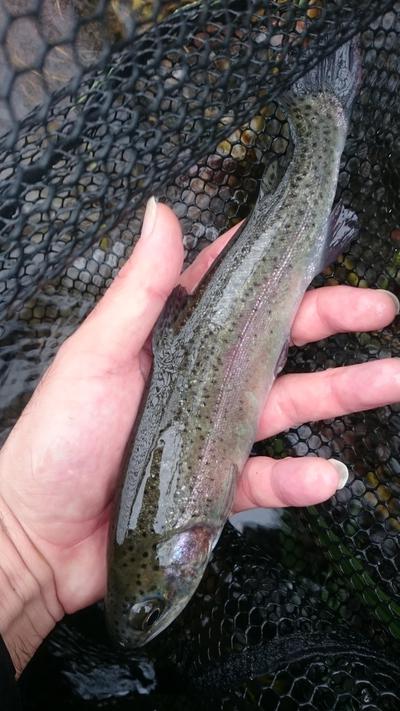 ホントに釣れるのか！？