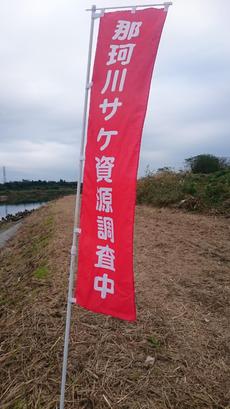 今年も当選！！ 2016/11/08 00:02:05