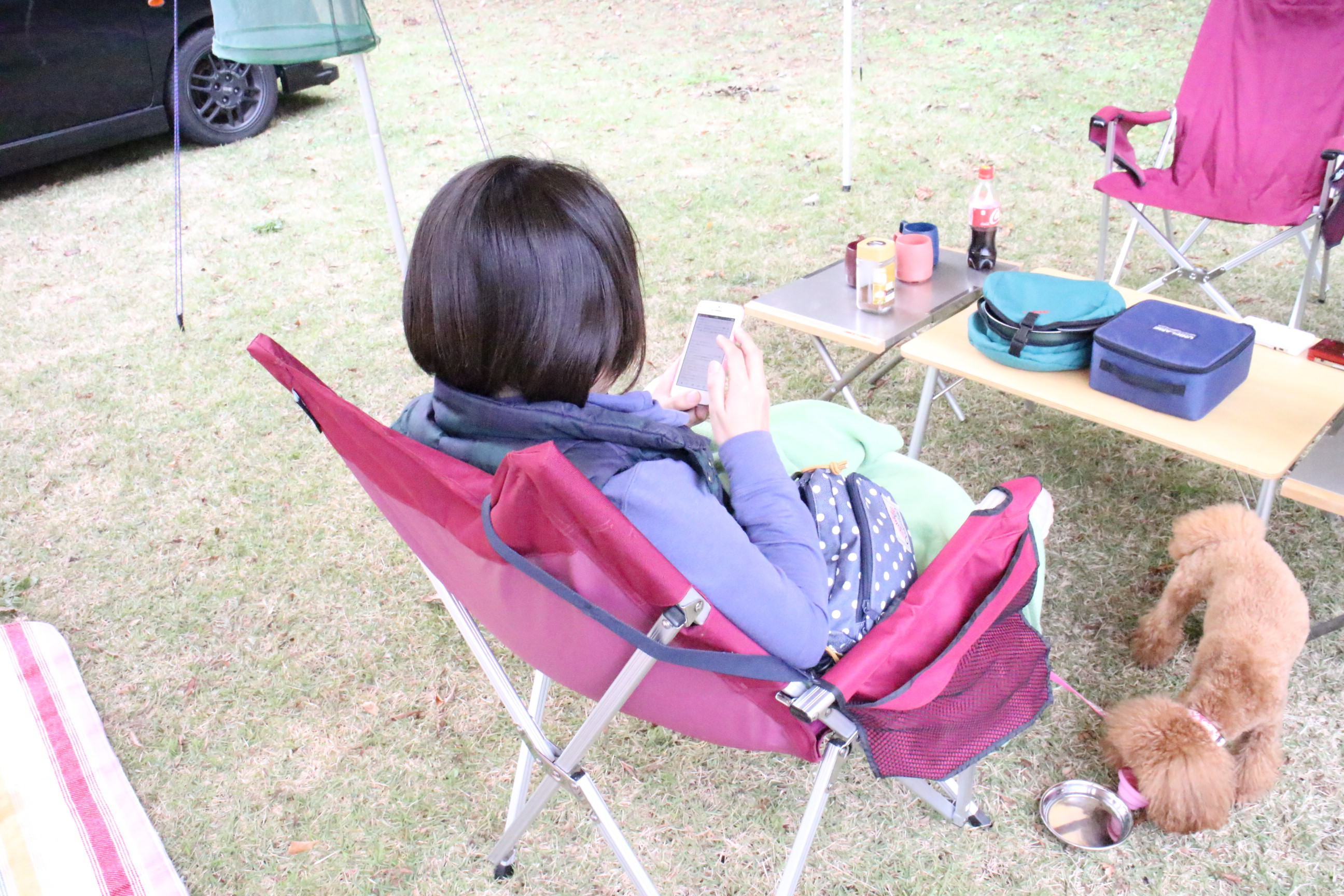 ディキャンプｉｎ静岡 with dog