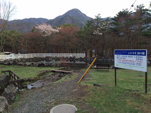 キャンプ in 山梨Ⅲ with dog